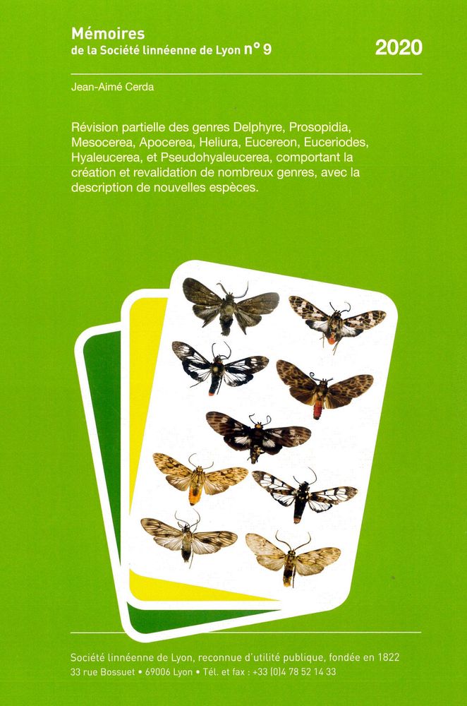 Couverture — Révision partielle des genres Delphyre, Prosopidia, Mesocerea, Apocerea, Heliura, Eucereon, Euceriodes, Hyaleucerea et Pseudohyaleucerea